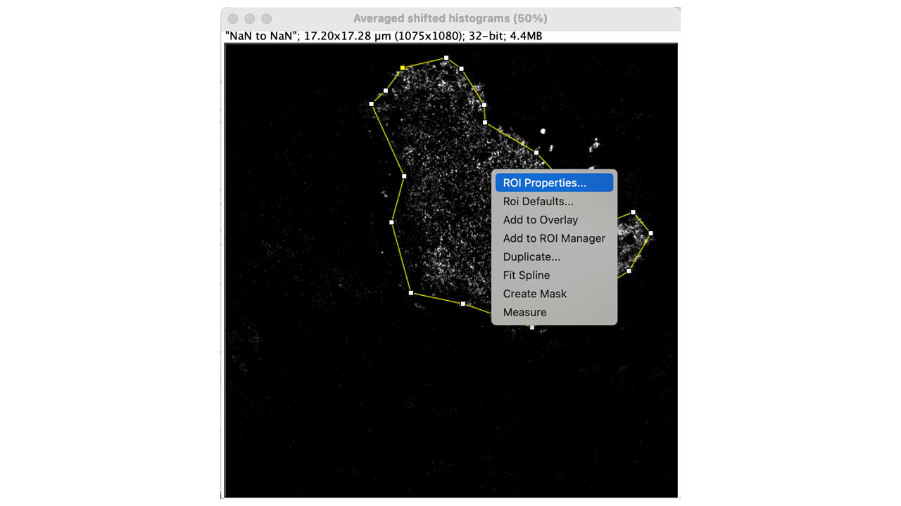 Fiji Point 10 Screenshot
