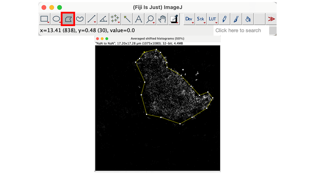 Fiji Point 9 Screenshot